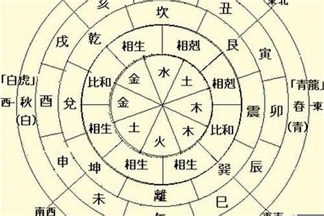 八字天干地支